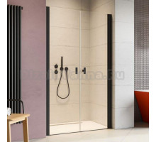 Душевая дверь в нишу Radaway Nes Black DWD I 120